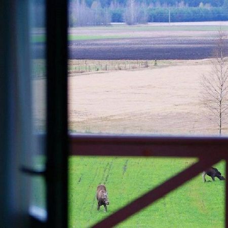 Losiowy Kat Goniadz Exteriör bild