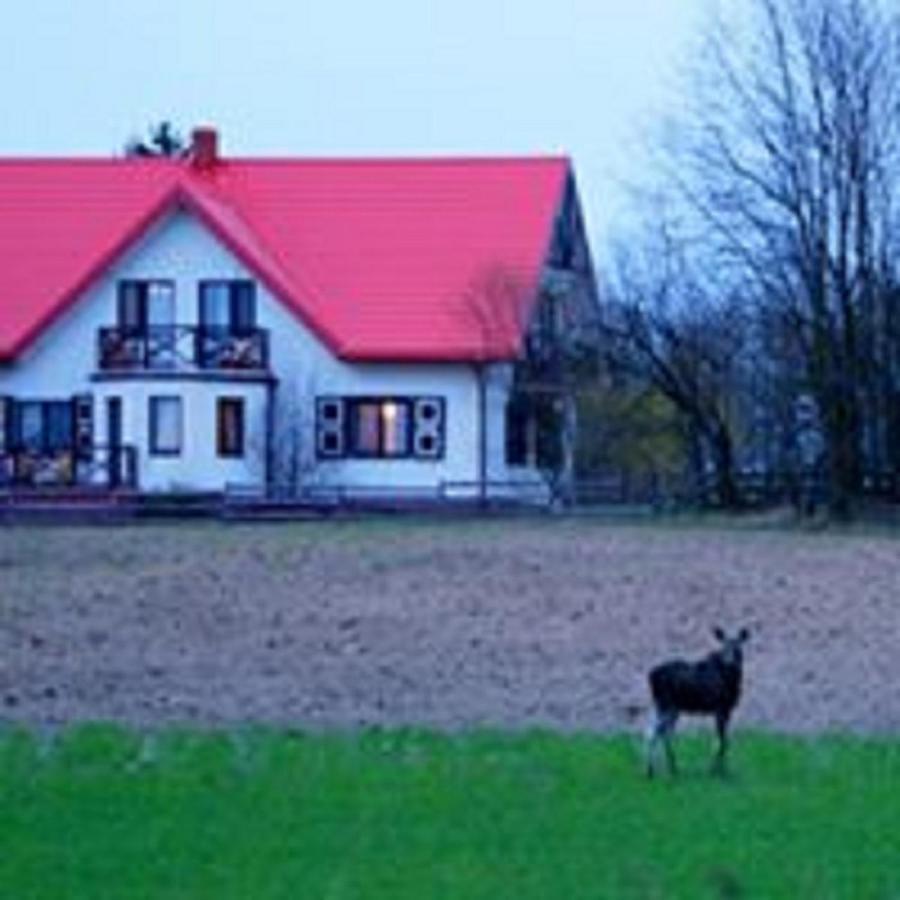 Losiowy Kat Goniadz Exteriör bild