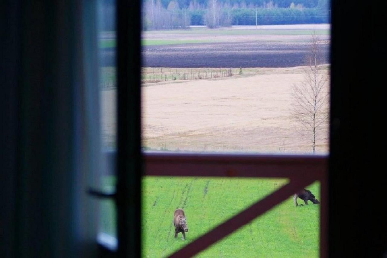 Losiowy Kat Goniadz Exteriör bild